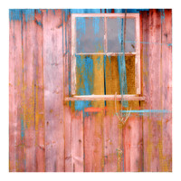 Colourful Shed