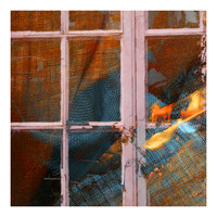 Net Curtains