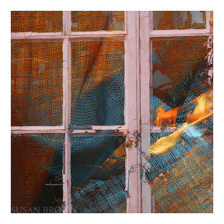 Net Curtains