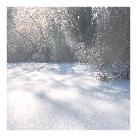 Footprints in the Snow