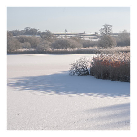 Alresford Lake