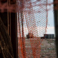 Dungeness-Colour