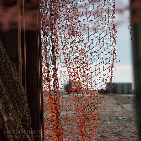 The Orange Nets