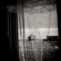 Dungeness-Mono