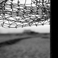 Dungeness Nets