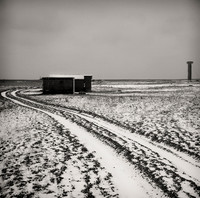 Road to the T