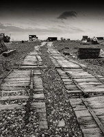 Detritus