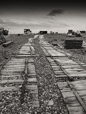 Detritus