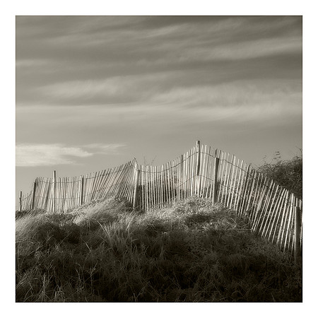 Fenced Dunes Infrared