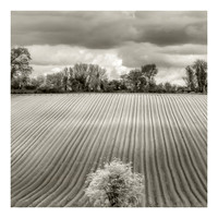 Perfect Ploughing Mono
