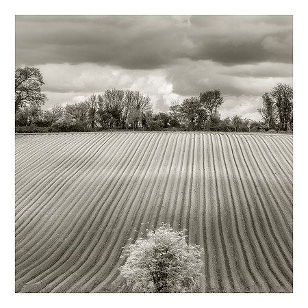 Perfect Ploughing Mono