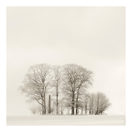 The Copse