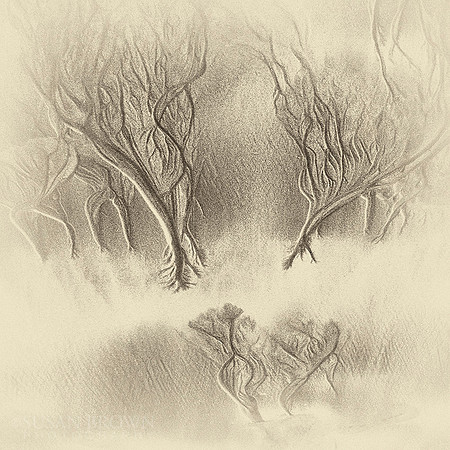 Trees in the Sea - Toned