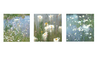 Summer Meadow Triptych