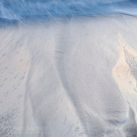 Backbone in the Sands