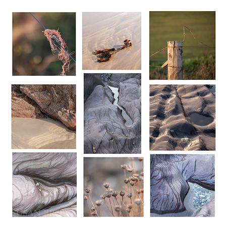 Cameos of Wembury and its Coast Path