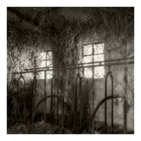 Old Cow Byre