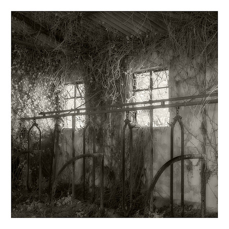 Old Cow Byre