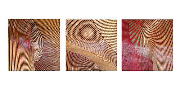 Triptych ME Welsh Assembly