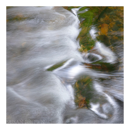 Rythm in the River