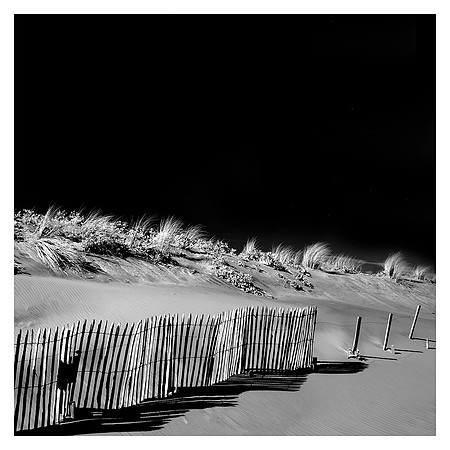 Sand Dunes and Grasses