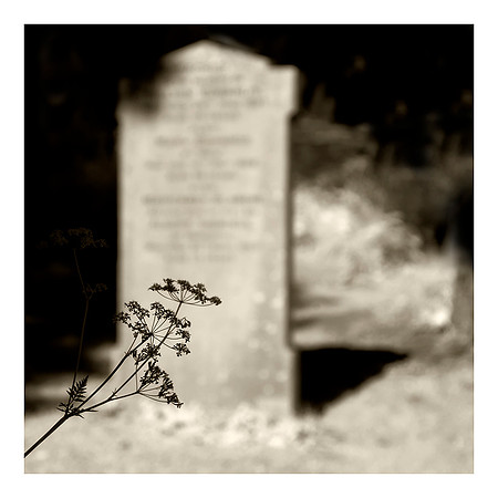 VE Day Newton Ferrers Churchyard