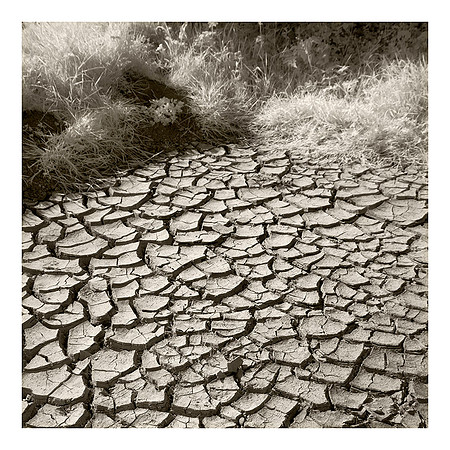 Waiting for Rain