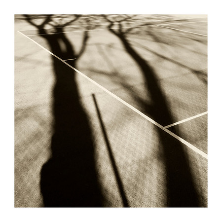 Tree Shadow on the Tennis Courts