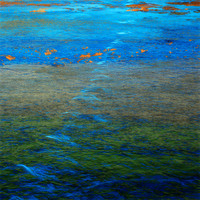 The Seashore.