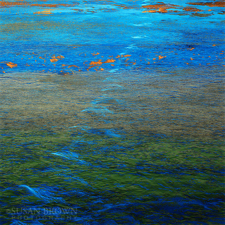 The Seashore.