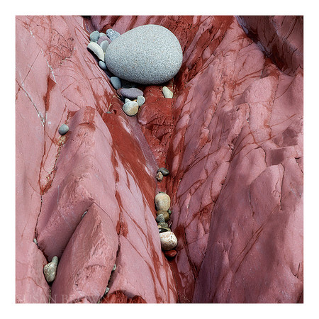 Pebbles Trapped amongst Bleeding Rocks